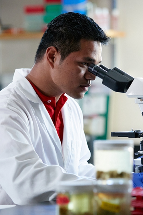 student looking through microscope